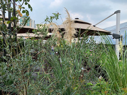 Gallery 1