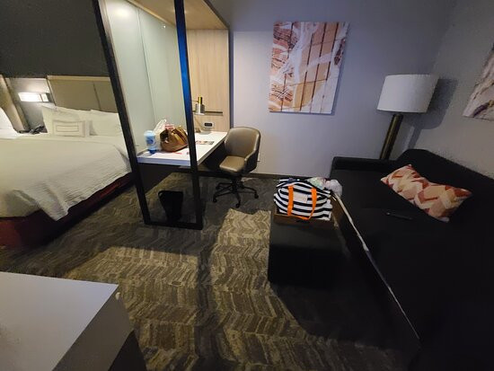 格林斯伯勒机场万豪SpringHill Suites酒店主图