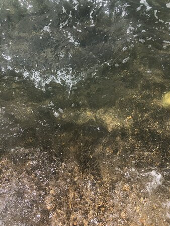 Nuova Pineta Pinetina-罗马必去景点