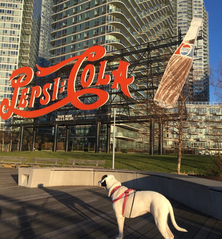 Pepsi Cola Sign-长岛市必去景点