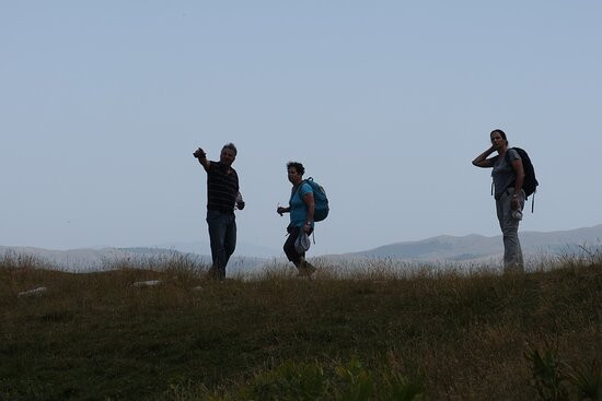 Guesthouse Kasaria主图