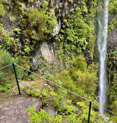 Endemic Xperiences-马德拉群岛必去景点