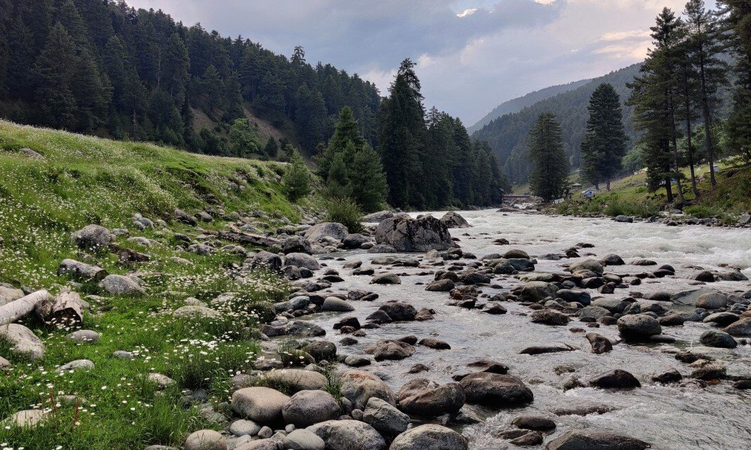 Travellers Inn主图