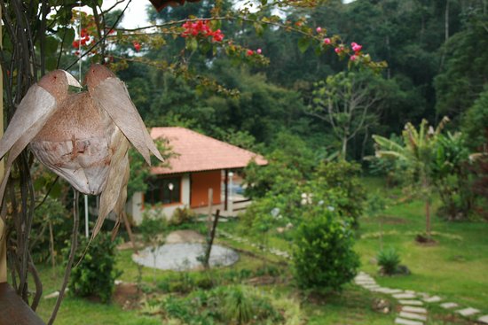 Pousada Ribeirão Da Floresta-官方