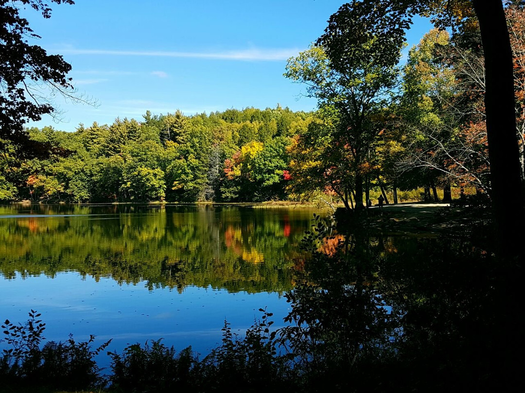 null-艾姆赫斯特