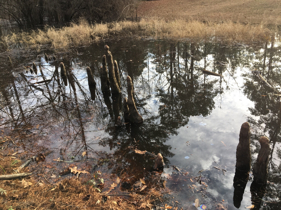 Jersey旅游攻略图片