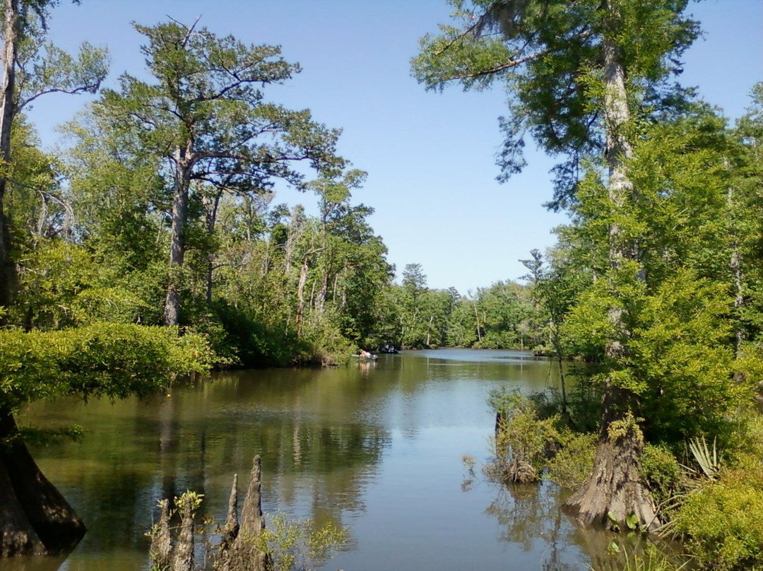 Becks Lake Fish Camp景点图片