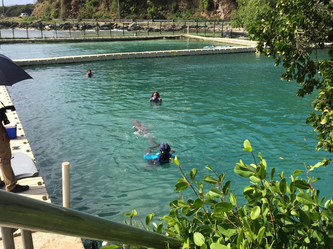 Road Town旅游攻略图片