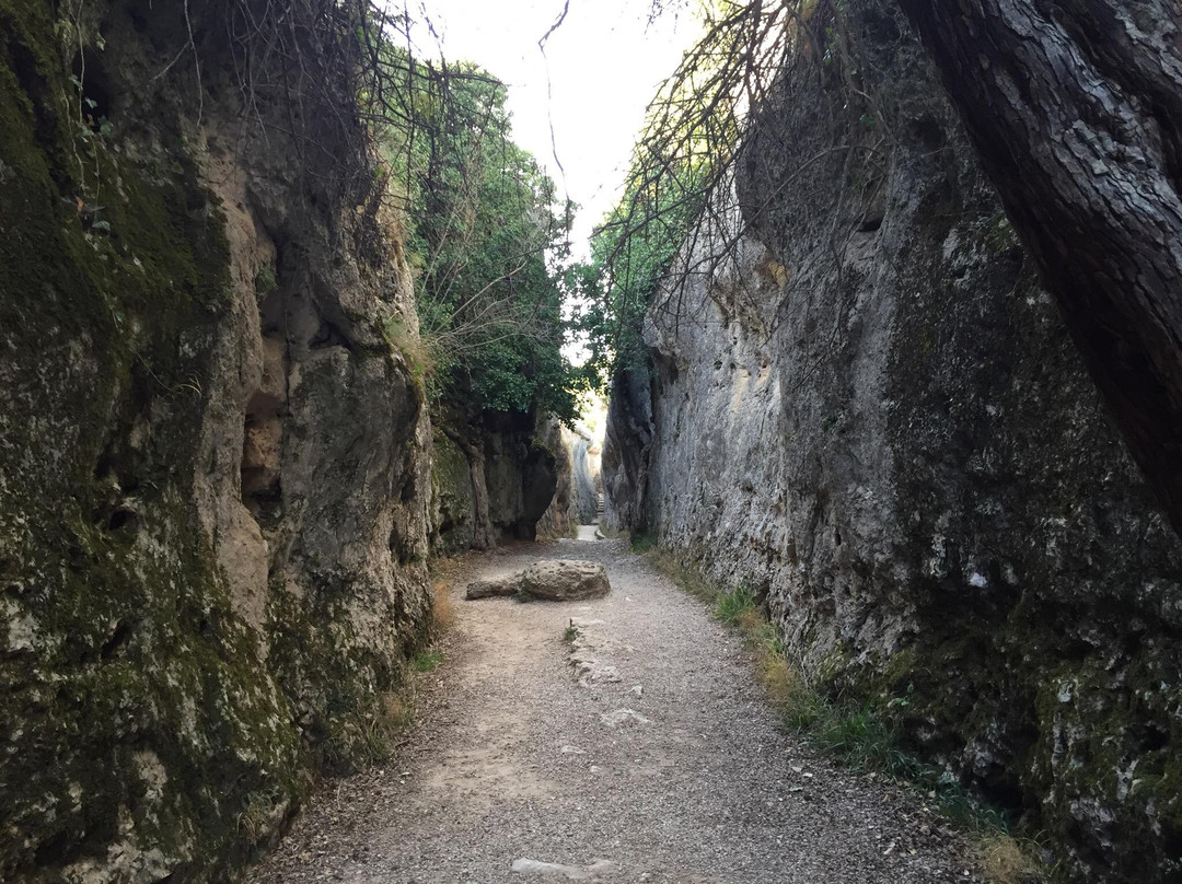 Valdecabras旅游攻略图片