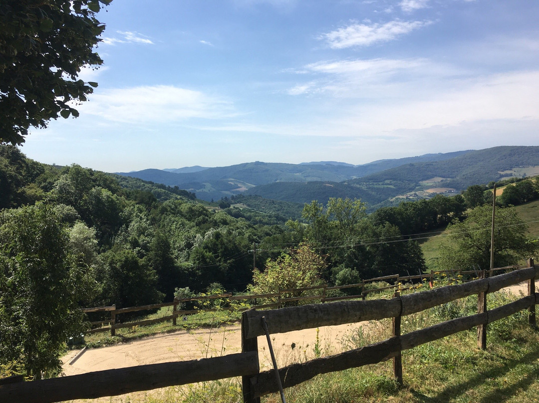 Beaujeu旅游攻略图片