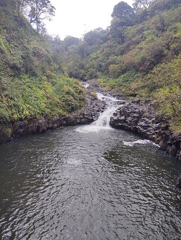 Maui Tour Company-芭雅必去景点