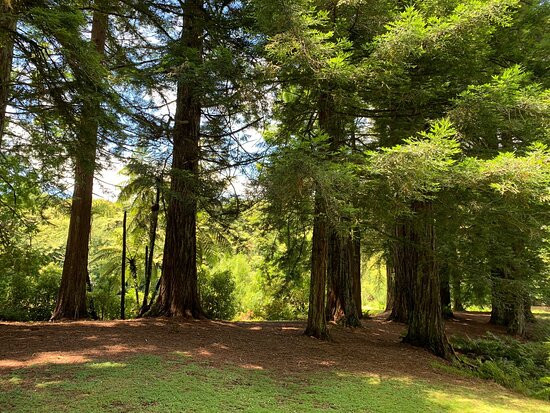 Lake Mangamahoe-新普利默斯必去景点