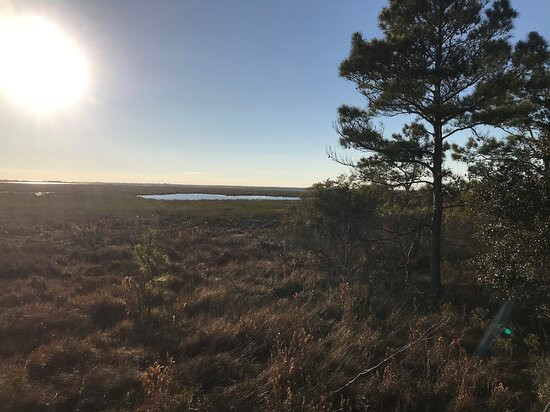 Big Branch Marsh National Wildlife Refuge景点图片