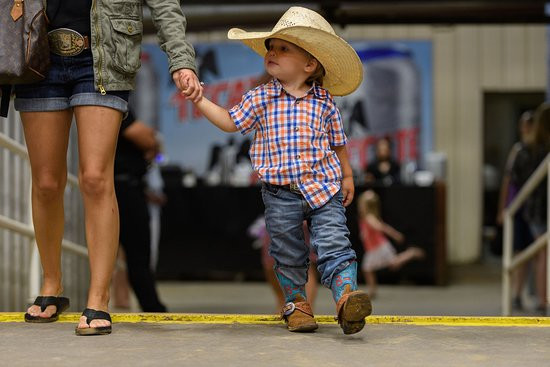 Gomez Arena-梅斯基特必去景点