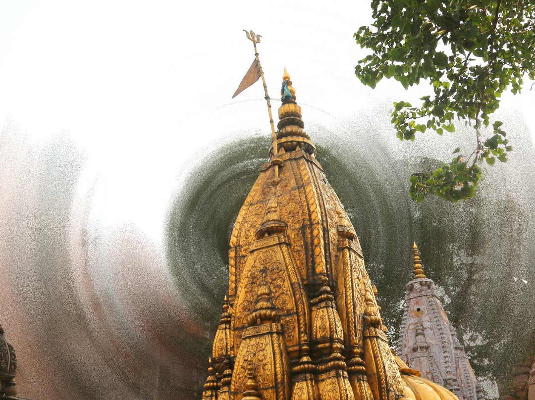 Shri Kashi Vishwanath Temple (Golden Temple)景点图片