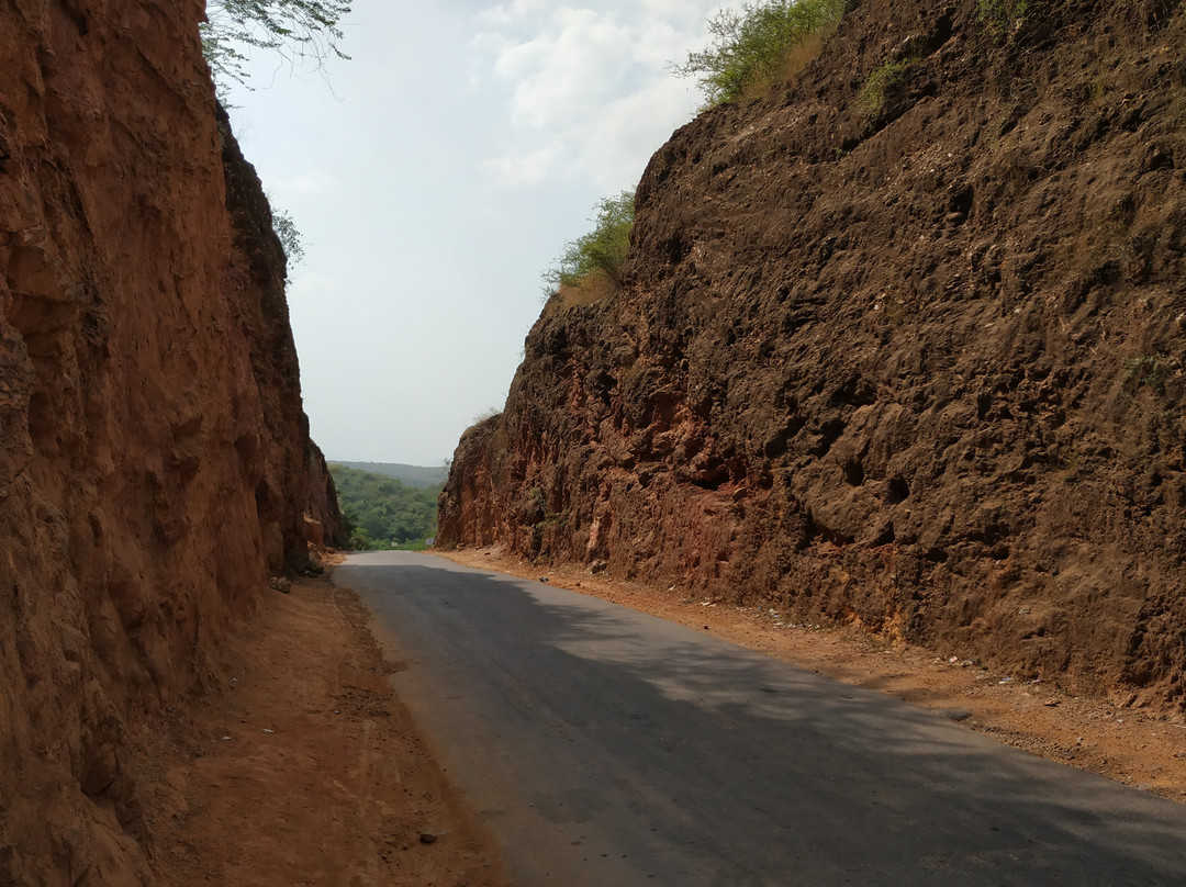 Nathdwara旅游攻略图片