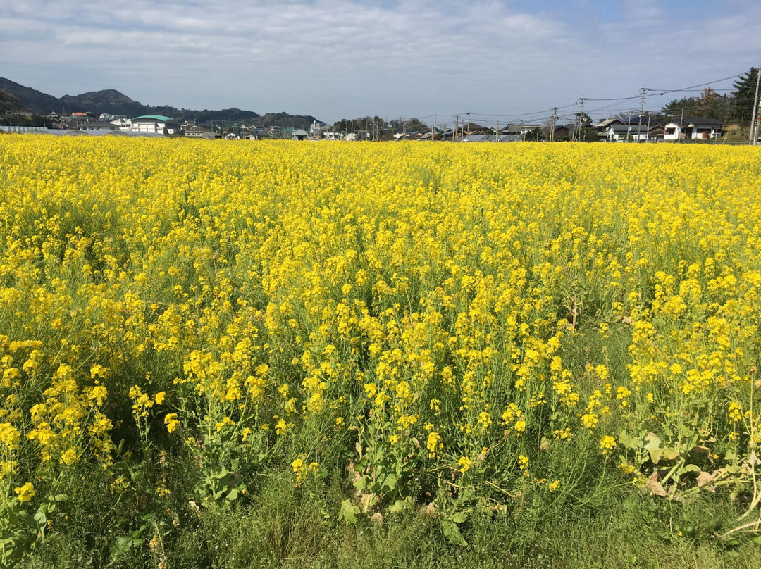 Fukufuku no Sato景点图片