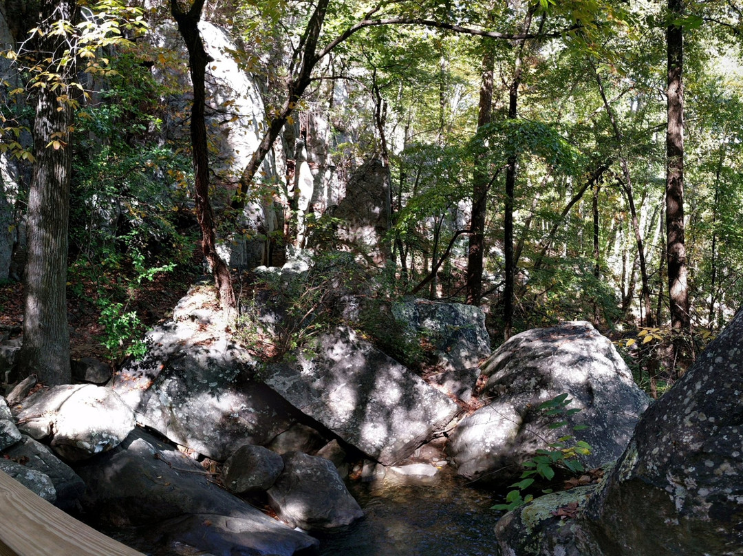 Glen Falls Trail景点图片