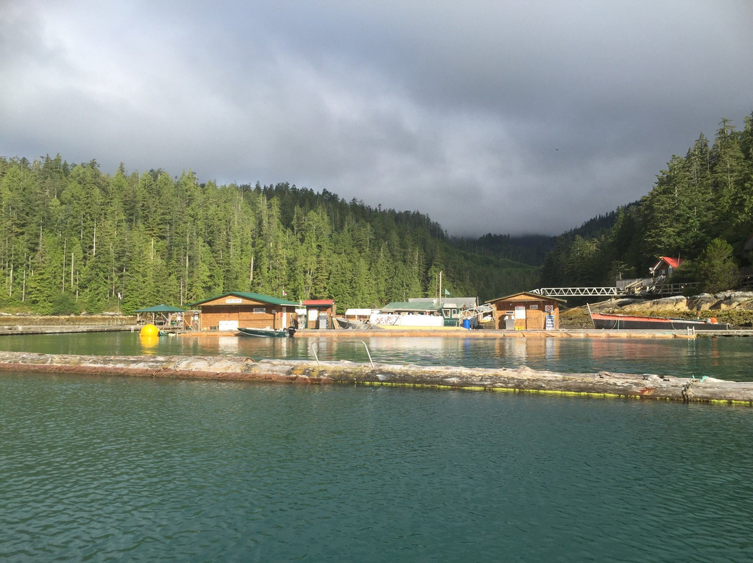 Critter Cove