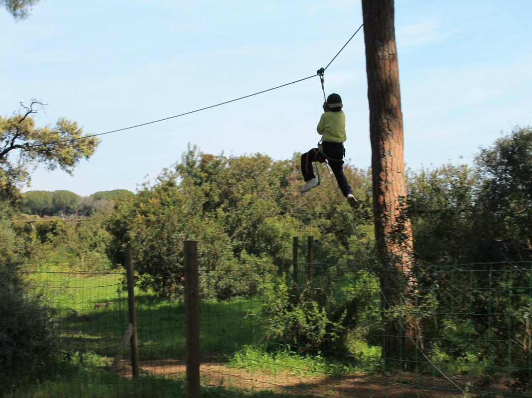 Bollullos de la Mitacion旅游攻略图片