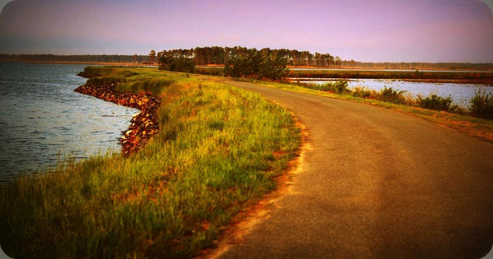 坎布里奇旅游攻略图片