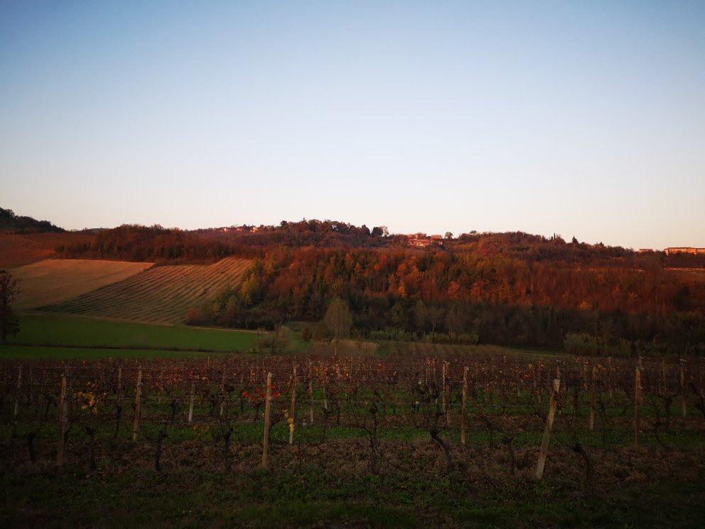 Azienda Vitivinicola Botto Marco景点图片