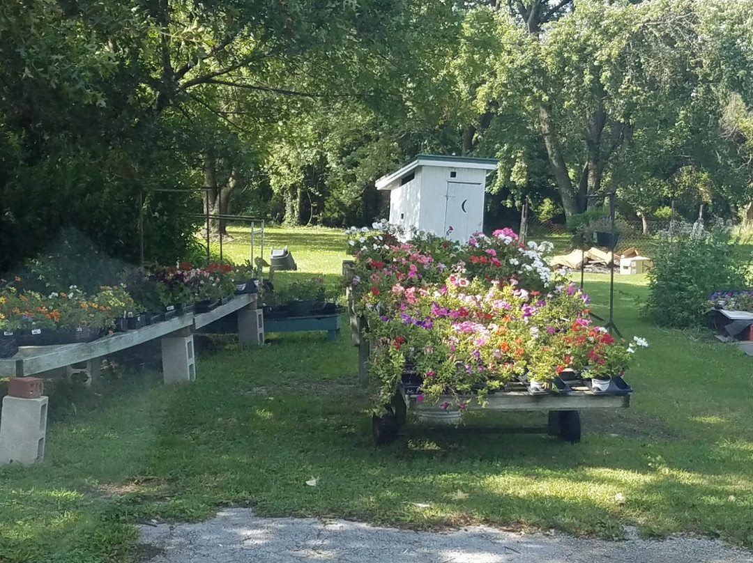 Riverton旅游攻略图片