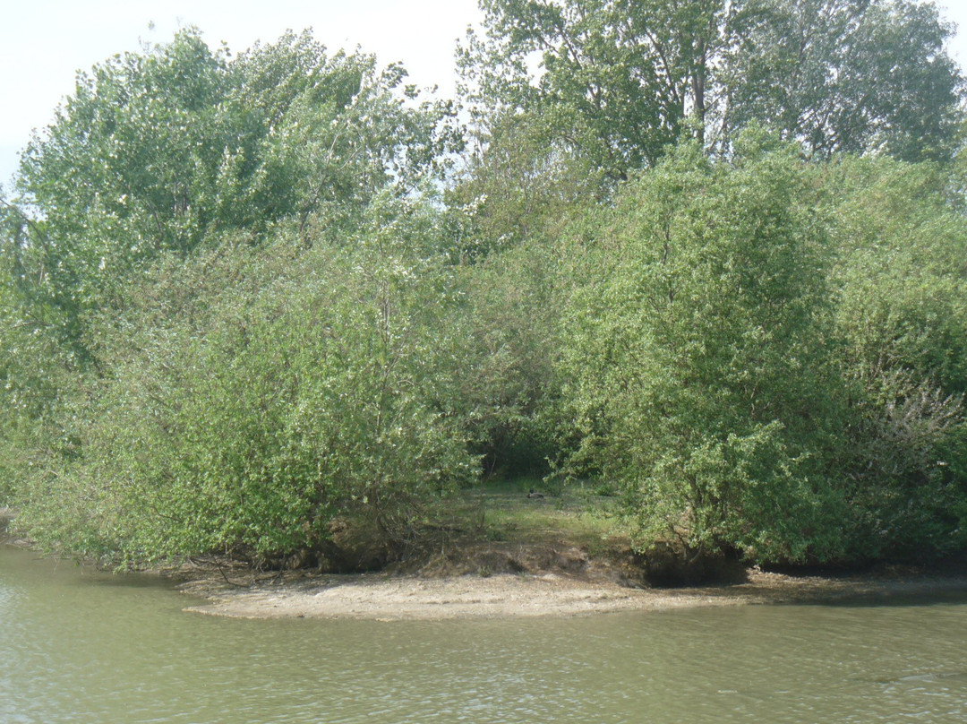 Giussago旅游攻略图片