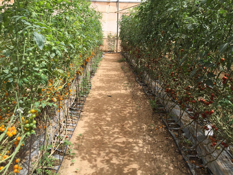 Talmei Yosef旅游攻略图片