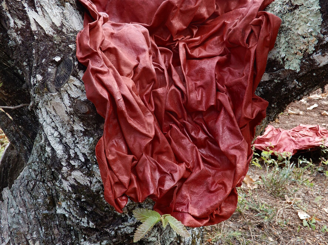 ValdelArte, Centro de Arte y Naturaleza