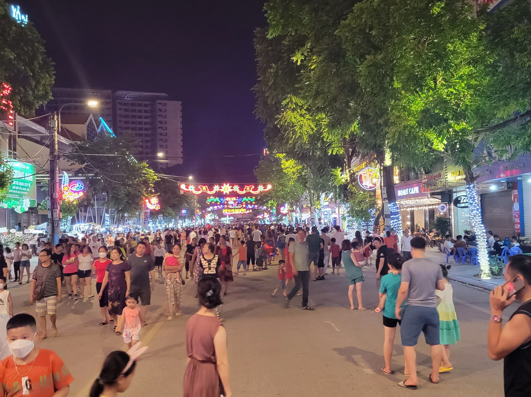 Kim Dong Walking Street景点图片