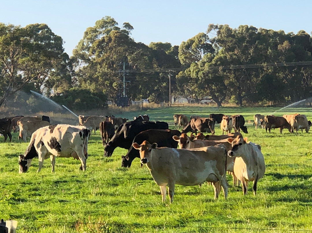 廷布恩旅游攻略图片