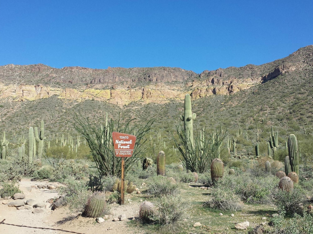 Usery Mountain Regional Park景点图片