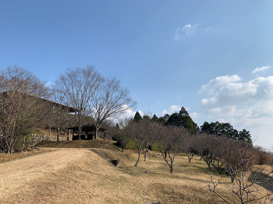 Kannonyama Park景点图片