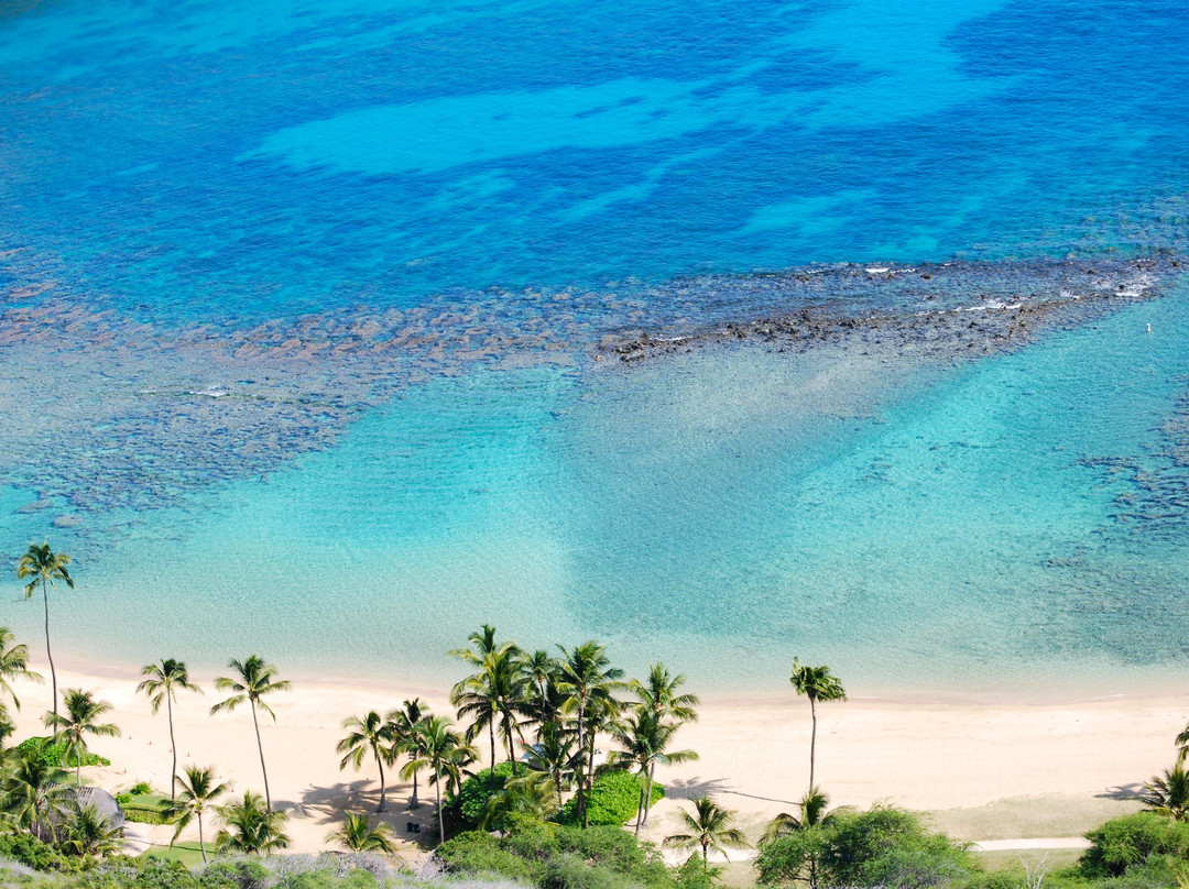 Snorkelfest Snorkel Hanauma Bay