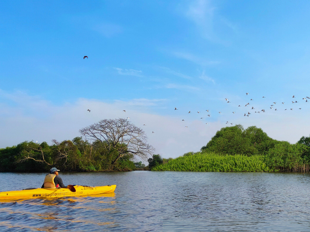 Tropiq Getaways LLP-Kothad必去景点