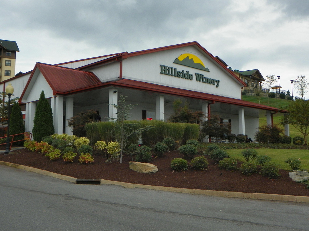 塞维尔维尔旅游景点-Hillside Winery