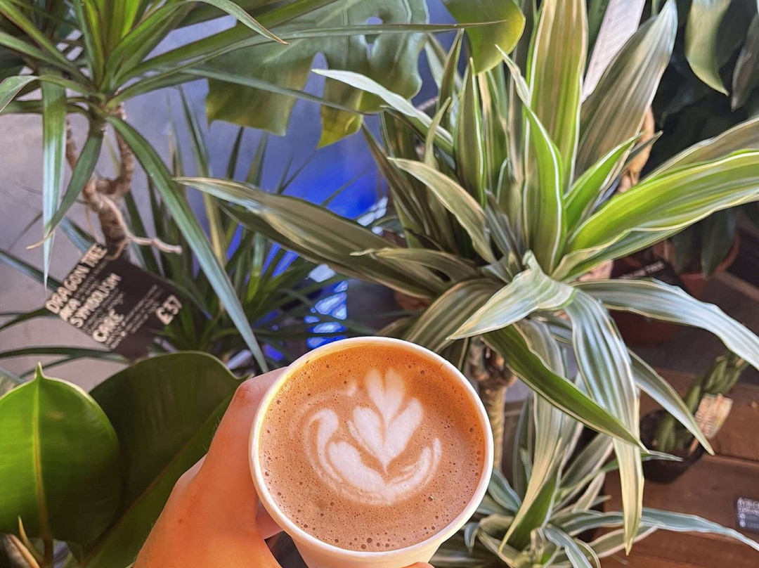 Crazy Goat Co - Pinner