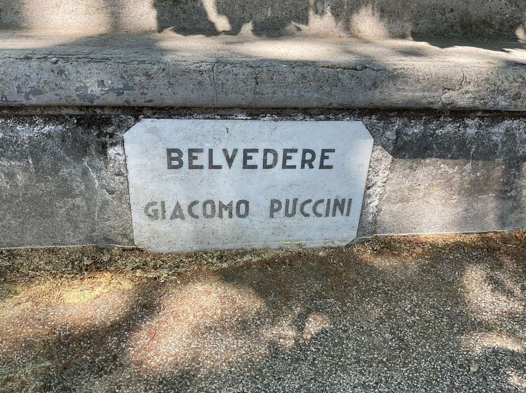 Belvedere Giacomo Puccini景点图片
