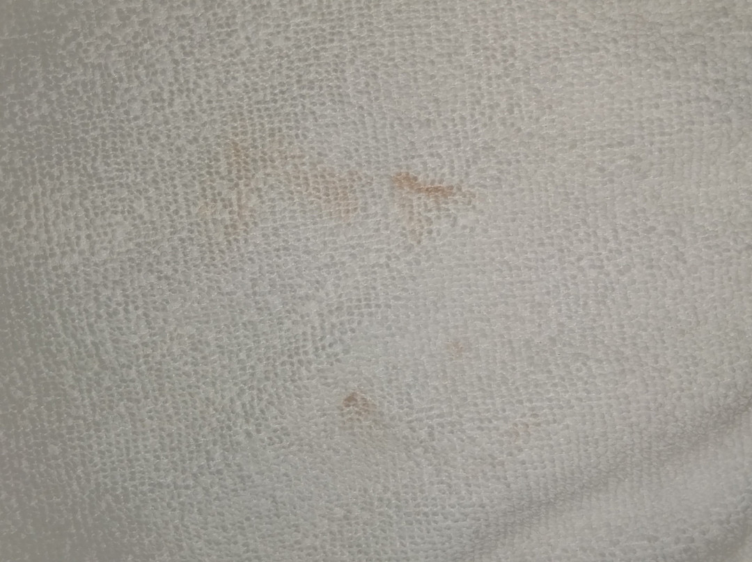 Best Western Inn Of Nacogdoches主图