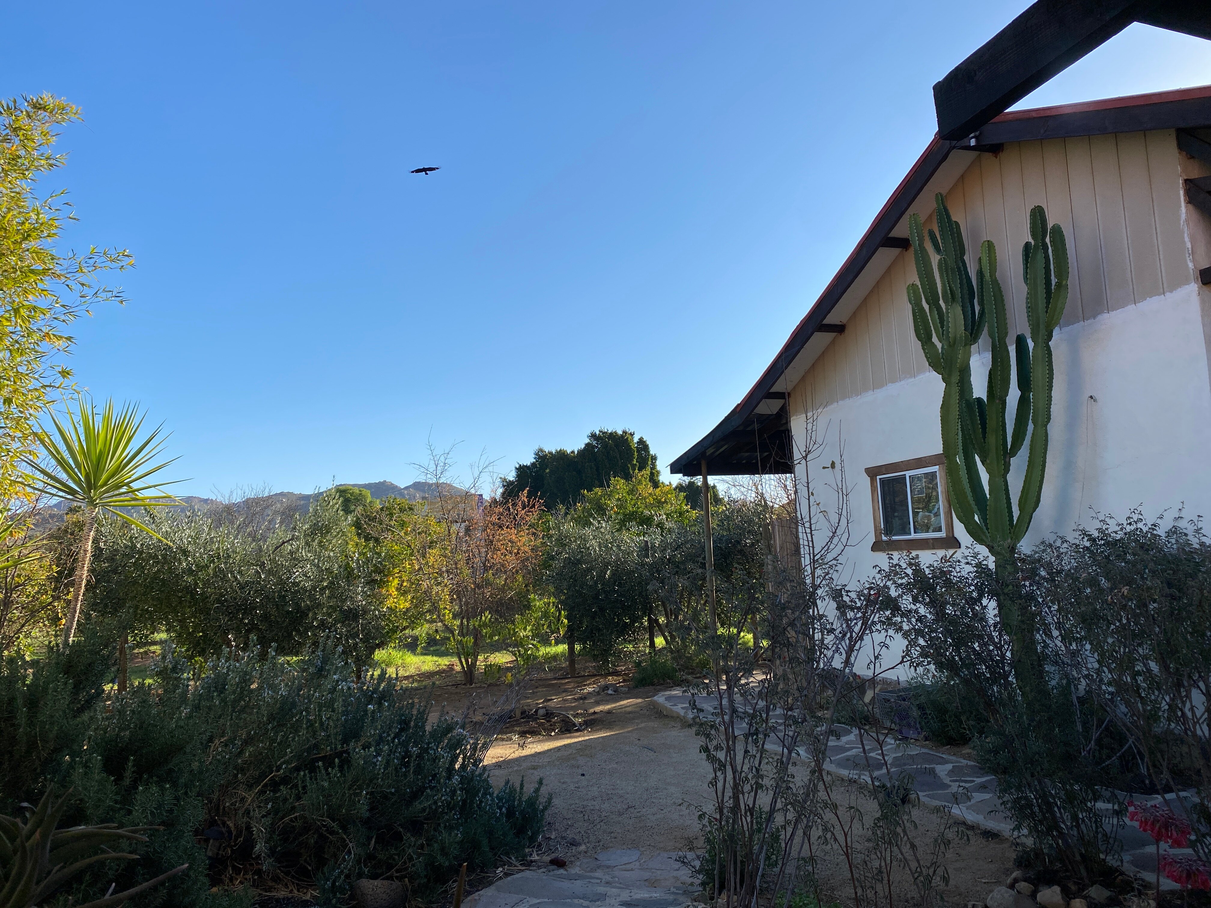 Terra del Valle B&B-浴室
