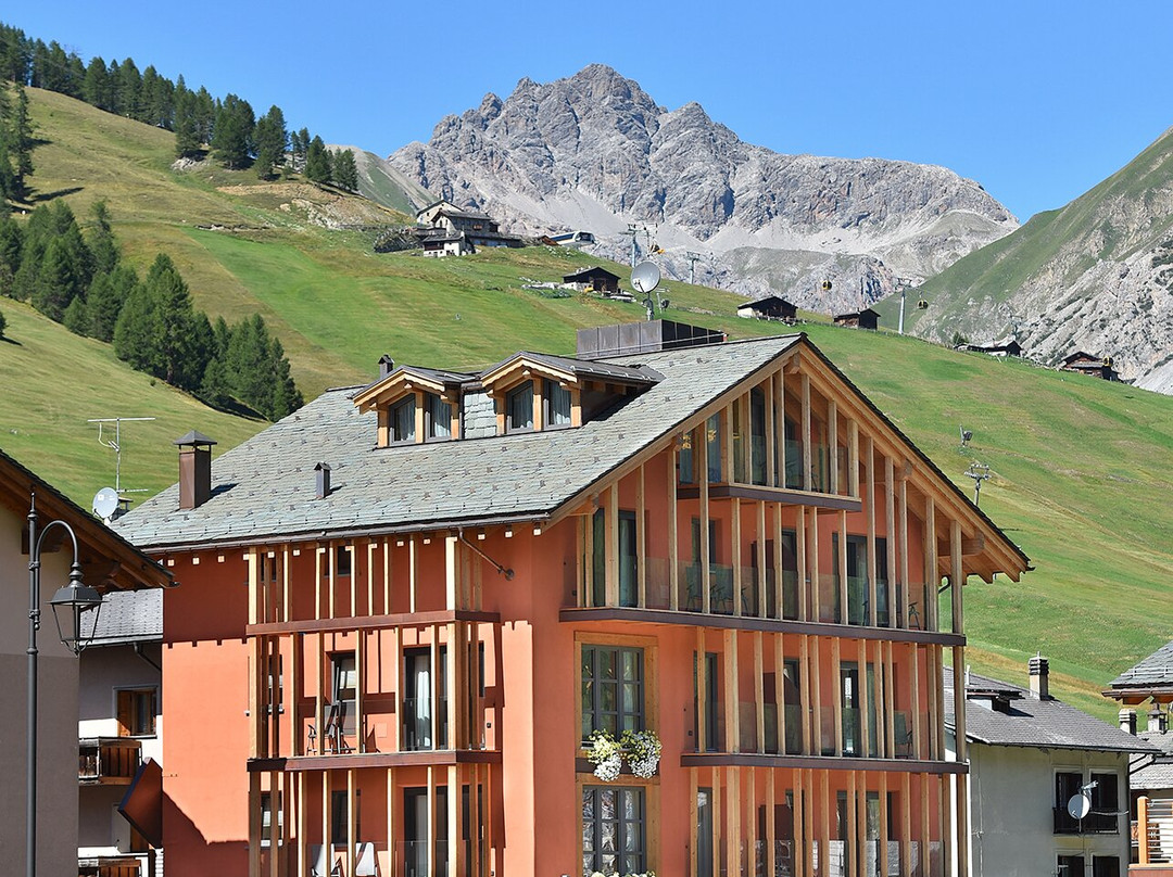 Hotel Roberta Alpine主图
