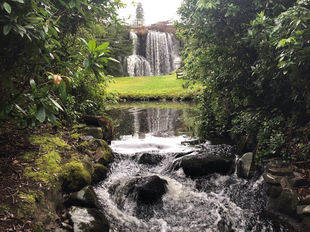 Japanese Water Garden景点图片