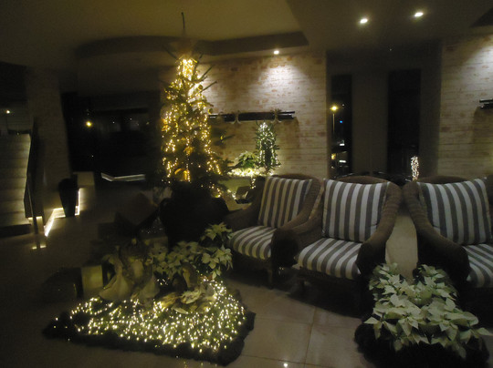 Bentornato A Rum Bar-卡列塔必去景点