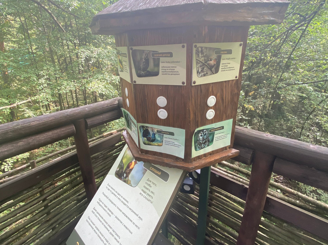 Eco Trail Through Foliage景点图片