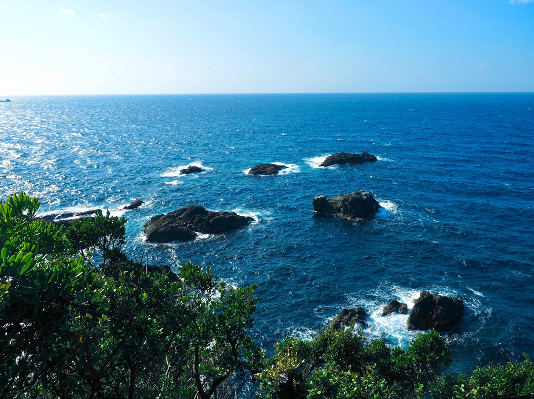 Shionomisaki Whale Viewing Point景点图片