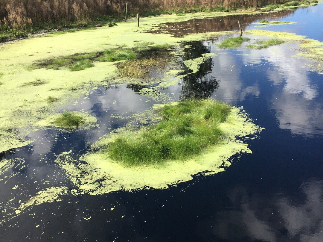 Blackwater Creek Nature Preserve-普兰特城必去景点