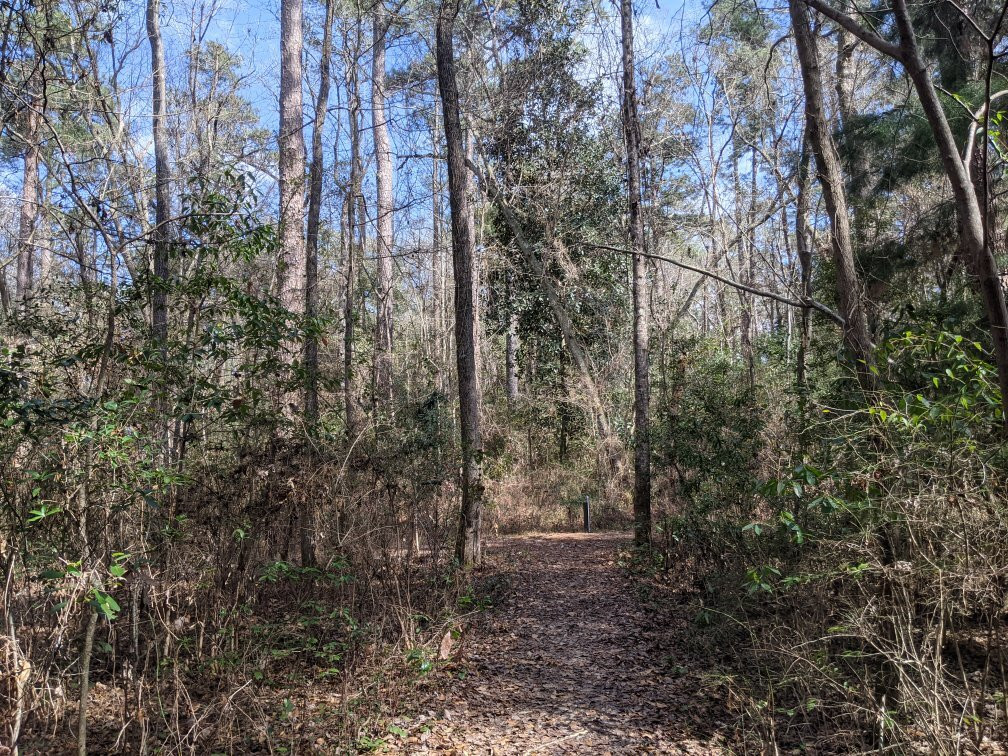 Colleton State Park景点图片