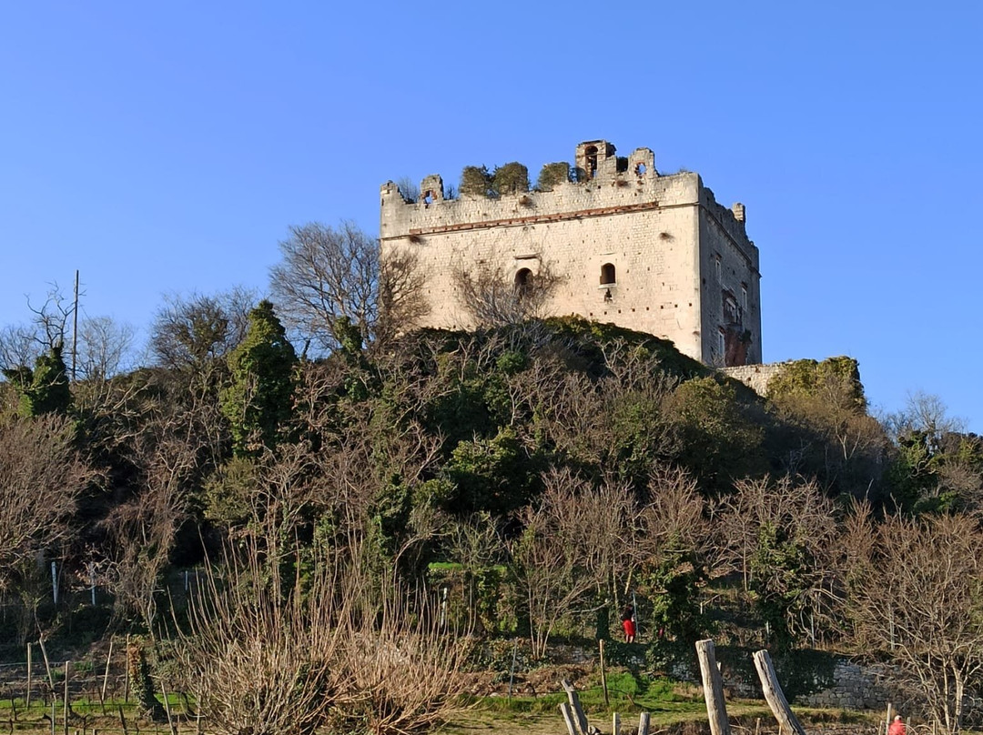 Castello Scaligero d'Illasi景点图片