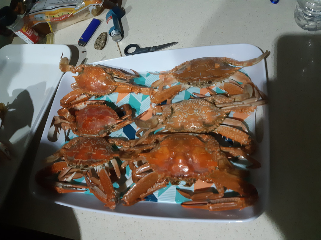 Coomera Houseboat Holidays-库梅拉必去景点